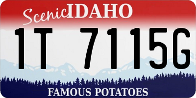 ID license plate 1T7115G