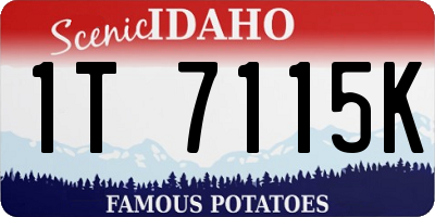 ID license plate 1T7115K