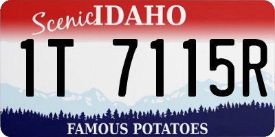 ID license plate 1T7115R