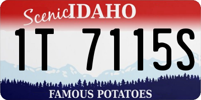 ID license plate 1T7115S