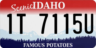 ID license plate 1T7115U