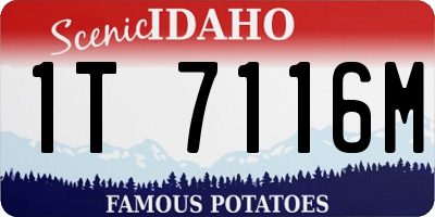 ID license plate 1T7116M