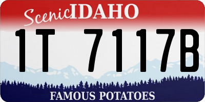 ID license plate 1T7117B