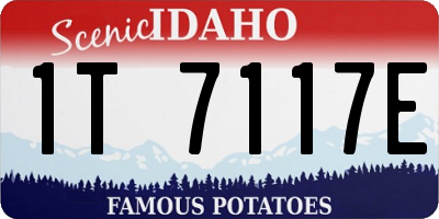 ID license plate 1T7117E