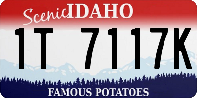 ID license plate 1T7117K