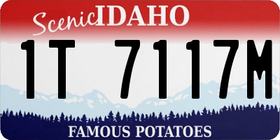 ID license plate 1T7117M
