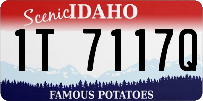 ID license plate 1T7117Q