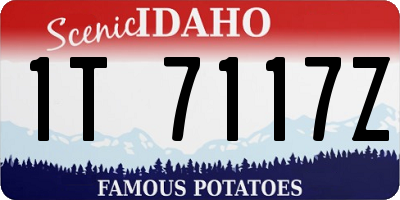 ID license plate 1T7117Z