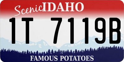ID license plate 1T7119B