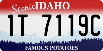 ID license plate 1T7119C