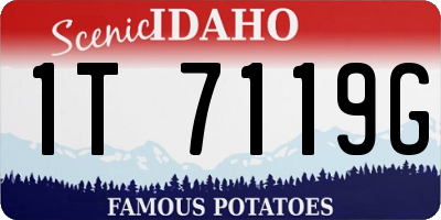 ID license plate 1T7119G
