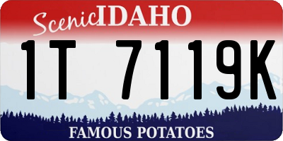 ID license plate 1T7119K