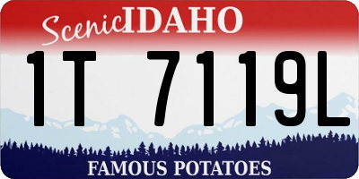 ID license plate 1T7119L