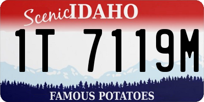 ID license plate 1T7119M
