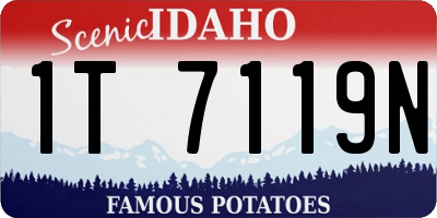 ID license plate 1T7119N