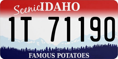 ID license plate 1T7119O