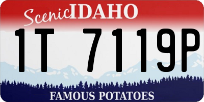 ID license plate 1T7119P