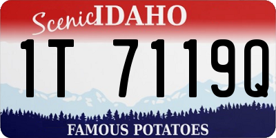 ID license plate 1T7119Q