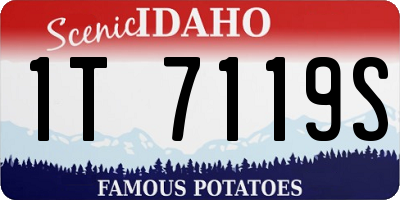 ID license plate 1T7119S