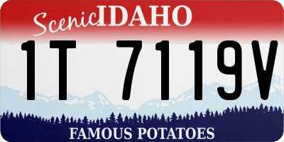ID license plate 1T7119V