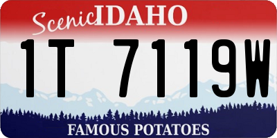 ID license plate 1T7119W