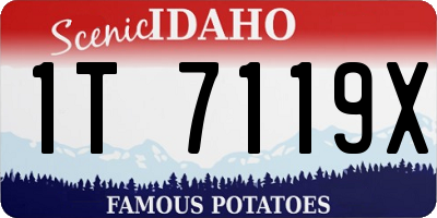 ID license plate 1T7119X