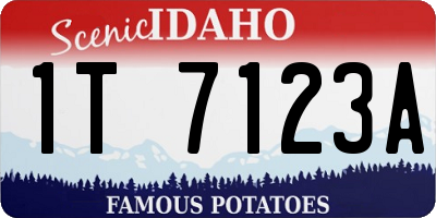 ID license plate 1T7123A