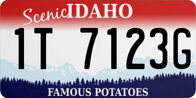 ID license plate 1T7123G