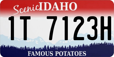 ID license plate 1T7123H