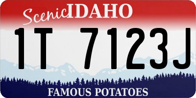 ID license plate 1T7123J