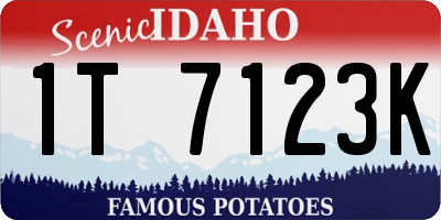 ID license plate 1T7123K