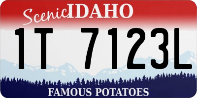 ID license plate 1T7123L