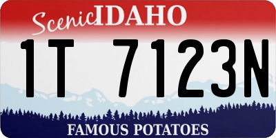 ID license plate 1T7123N