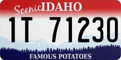 ID license plate 1T7123O