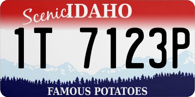 ID license plate 1T7123P
