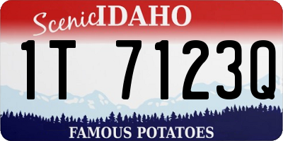 ID license plate 1T7123Q