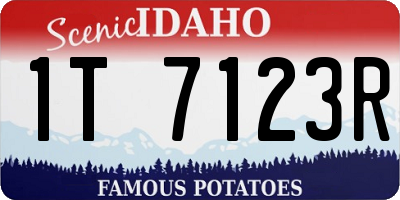 ID license plate 1T7123R