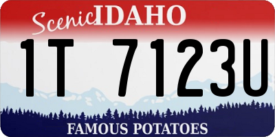 ID license plate 1T7123U