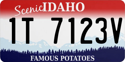ID license plate 1T7123V
