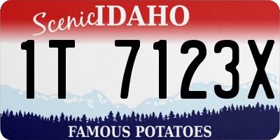 ID license plate 1T7123X
