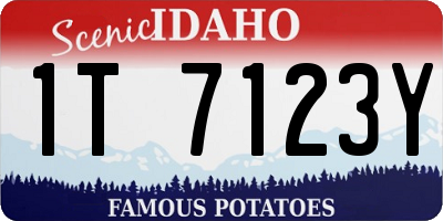 ID license plate 1T7123Y