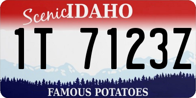 ID license plate 1T7123Z