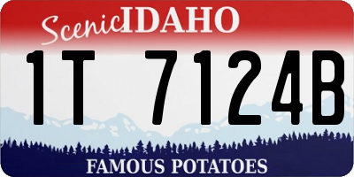 ID license plate 1T7124B