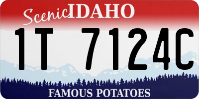 ID license plate 1T7124C