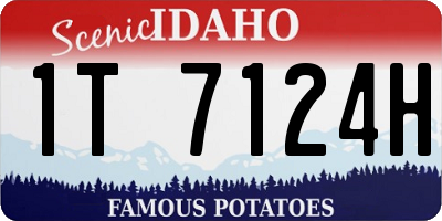 ID license plate 1T7124H