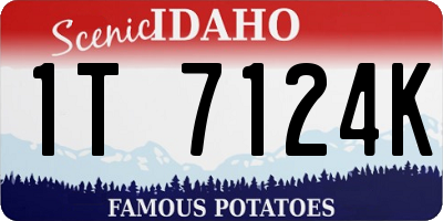 ID license plate 1T7124K
