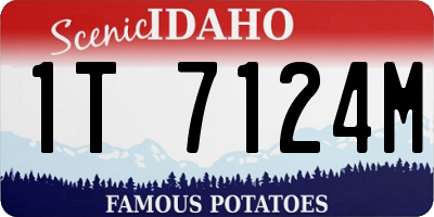 ID license plate 1T7124M