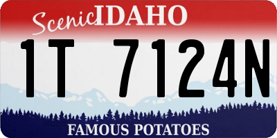 ID license plate 1T7124N