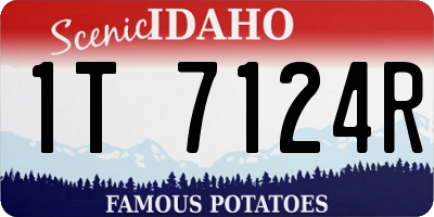 ID license plate 1T7124R