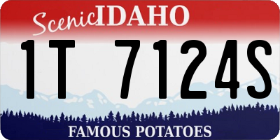 ID license plate 1T7124S